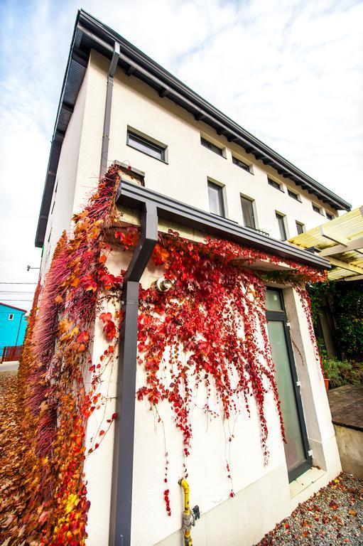 May Residence Dumbravita  外观 照片