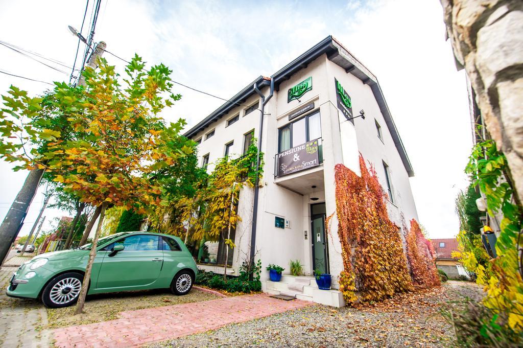 May Residence Dumbravita  外观 照片